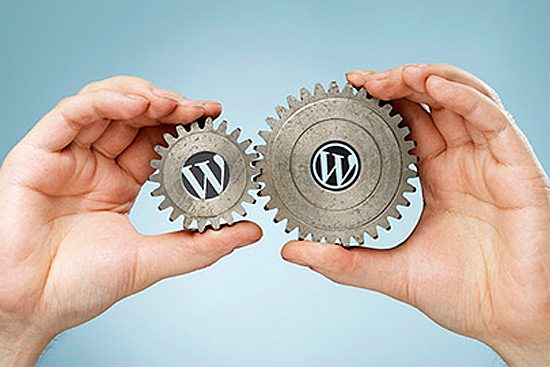 wordpress-developers